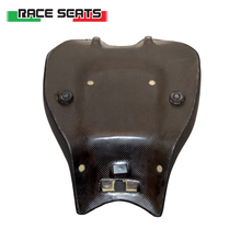 Ladda upp bild till gallerivisning, Ducati Panigale V2, Competition line med karbonplatta