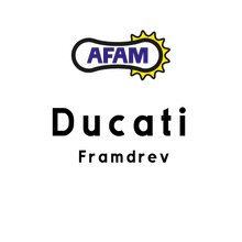 Ladda upp bild till gallerivisning, AFAM, framdrev Ducati