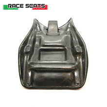 Ladda upp bild till gallerivisning, BMW S1000RR 2012-2018, Competition line med karbonplatta