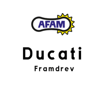 Ladda upp bild till gallerivisning, AFAM, framdrev Ducati
