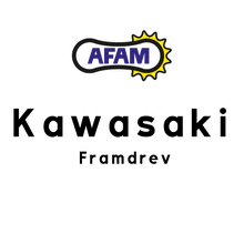 Ladda upp bild till gallerivisning, AFAM, framdrev Kawasaki
