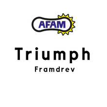Ladda upp bild till gallerivisning, AFAM, framdrev Triumph
